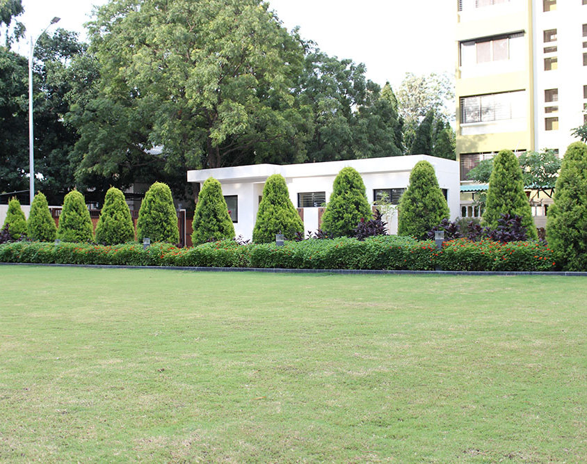 Landscape2