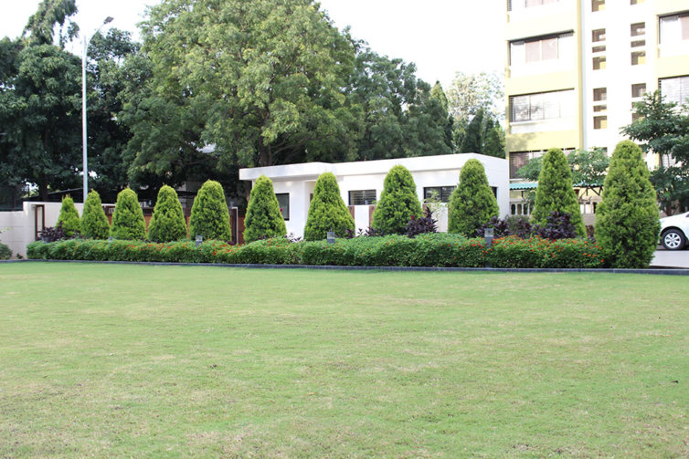 Landscape2