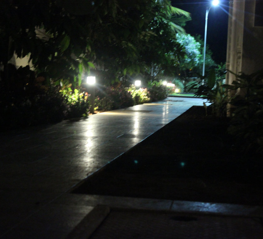 Landscape5