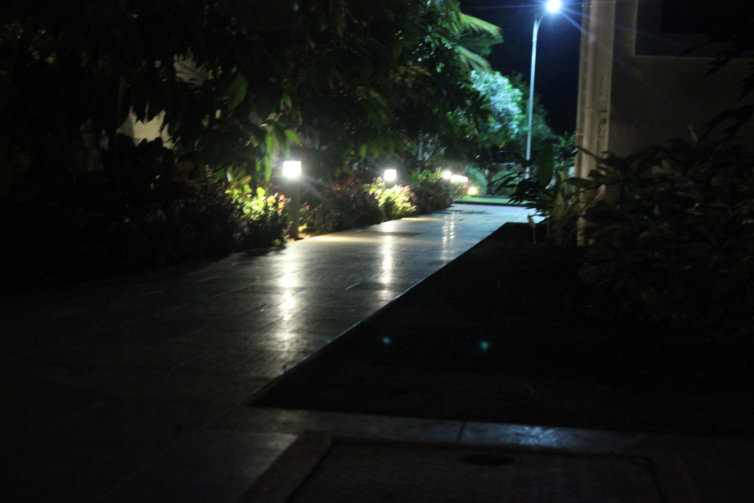Landscape5